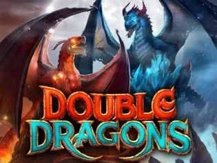 Double Dragons game screenshot